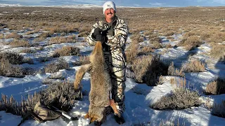 Wyoming coyote hunt 2023