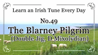 049 The Blarney Pilgrim (Double Jig, D Mixolydian)  Learn an Irish Tune Every Day.