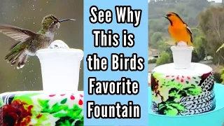 BEST BIRD BATH EVER ❤️ See PROOF How To Make Hummingbird Water Fountain NO Solar, Sun or AC Needed