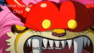 Who's Who Tells Jinbei About Sun God Nika