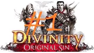 Прохождение Divinity: Original Sin часть 1 -- Начало пути