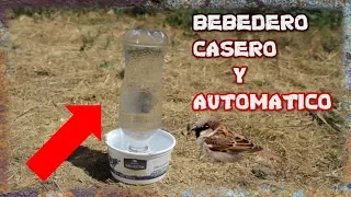 Bebedero Para Aves Casero Automatico - TUTORIAL - YMX supervivencia