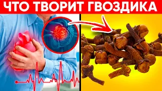 ВОТ ЧТО ТВОРИТ ГВОЗДИКА! (Реальная Польза и Вред Гвоздики)