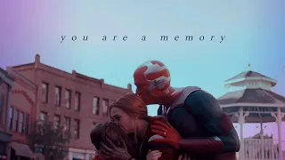 maximoff family • you are a memory