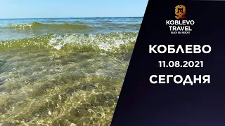 ✔️Коблево Сегодня: Прогулка по пляжу возле базы отдыха Зоря. 11.08.2021.