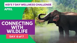 Day 6 of 7: "Connecting with Wildlife" - April Kid's Wellness Challenge: "Nature Connection"