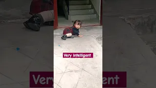 very intelligent 👌