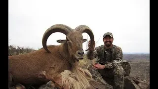 Aoudad Hunting in Texas with Outdoors International