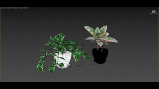 Modeling Plants in 3Ds Max