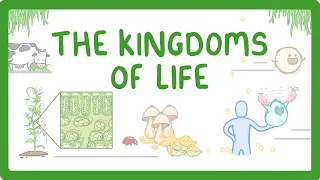 Kingdoms of Life - Animals, Plants, Fungi, Protoctists, Bacteria and Viruses #1