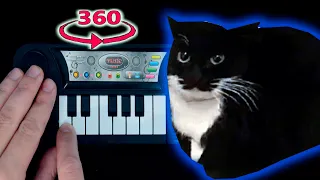 Maxwell The Cat / 1$ Black piano in 360° VR