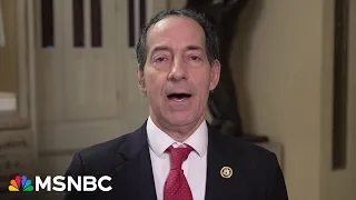 House GOP made themselves look foolish over impeachment: Rep. Raskin