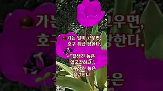 요즘속담 카톡에서