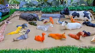 Muddy Adventures: African & Farm Animals Learn to Wiggle Out! | Kidiez World TV