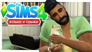 РАЗДАЕМ КОТЯТ 😢The Sims 4: Кошки и собаки #16