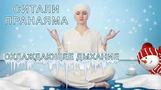 Ситали Пранаяма. Дыхание для охлаждения тела