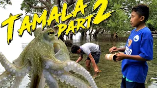 How to catch TAMALA or DAY OCTOPUS I Camotes Island - Vlog #94