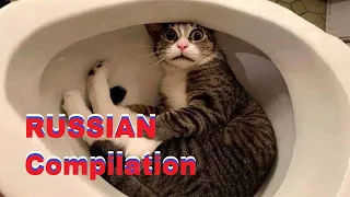 RUSSIAN Compilation Meanwhile in RUSSIA#107