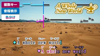 [JP Karaoke Lyrics] A Whole New World - Brad Kane and Lea Salonga