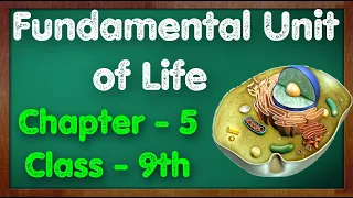 Fundamental Unit of Life Class 9 Science Chapter 5 Biology CBSE NCERT KVS
