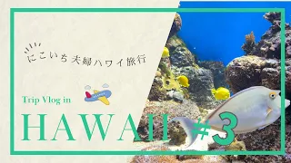 【Hawaii Vlog】ワイキキ水族館&ロイヤルハワイアンホテルへ　6泊8日のハワイ旅行⭐︎