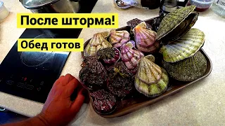 Прогулка после шторма 🥗 Немного, но на обед хватило