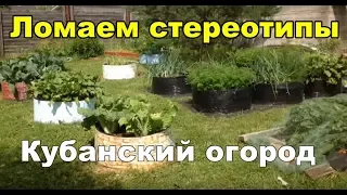 Вертикальный огород на Кубани. Огород в мешках