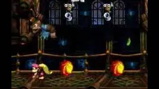 Donkey Kong Country 3 (SNES) 103% 10/26