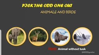 Pick the odd one out || GK quiz on Animals and Birds
