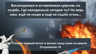 ‼️🕊️Начертание и Возмездие! И пошёл первый Ангел и вылил чашу на землю. Се иду как тать 🎺