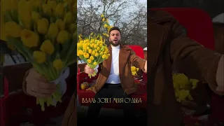 С 8 марта дорогие девушки 🌷