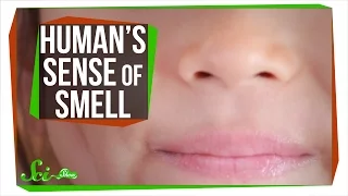 Your Sense of Smell Is Better Than You Think