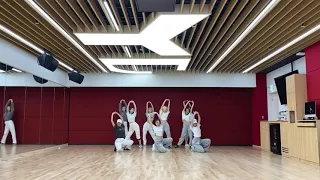 TWICE - Feel Special dance practice mirror 9 ver.
