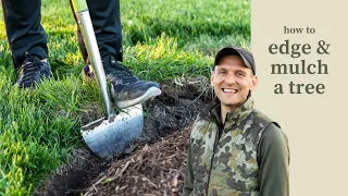 How to Edge & Mulch a Tree