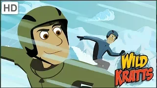 Wild Kratts - Awesome Winter Adventures