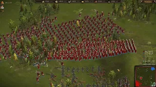 Really big fight in Cossacks 3