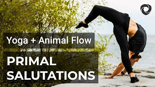 Primal Salutations - Yoga + Animal Flow