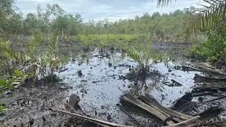 In Niger Delta communities, oil spill is impoverishing residents and devastating environment