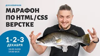 Бесплатный марафон по HTML/CSS. Верстаем сайт с адаптивом. Подробное объяснение.