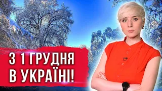 ДИВИТИСЬ ВСІМ! З 1 ГРУДНЯ НОВОВВЕДЕННЯ ДЛЯ УКРАЇНЦІВ! ЧОГО ЧЕКАТИ В ГРУДНІ?