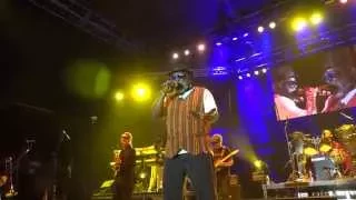 Sly and Robbie 'Real Rock' Reggae on the River August 2 2014