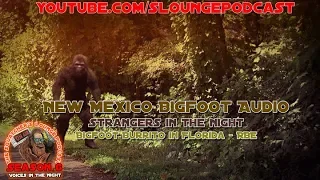 Bigfoot Caught on Audio in NM 2018 - SLP618