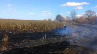 Чотири пожежі за день: рятувальники гасили суху траву