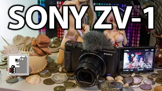 SONY ZV1 | Блогерская камера