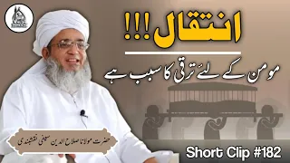 Intiqal Momin Ke Liye Taraqqi Ka Sabab He | Short Clip | Maulana Salahuddin Saifi Naqshbandi