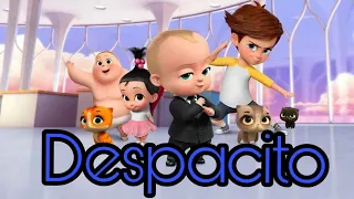 Despacito (Baby boss version )