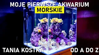 Moje Pierwsze Akwarium Morskie  - Tania Kostka