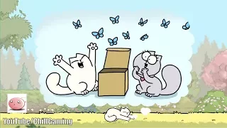 Simon's Cat Dash Gameplay IOS/Android