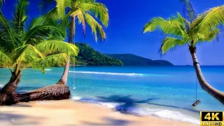 Stunning beach in 4k | Tropical beauty | Feel like vacation...