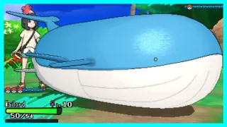 The “Tragedy” of Wailord